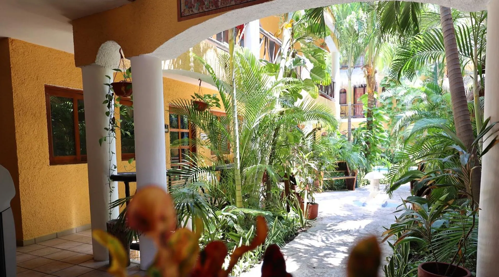 Hotel Bosque Caribe, 5Th Av. Zone Playa del Carmen 3*,  México