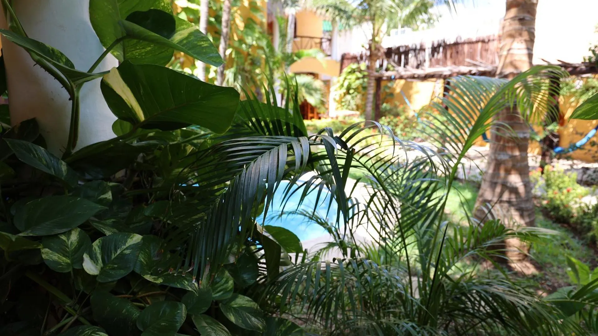 Hotel Bosque Caribe, 5Th Av. Zone Playa del Carmen