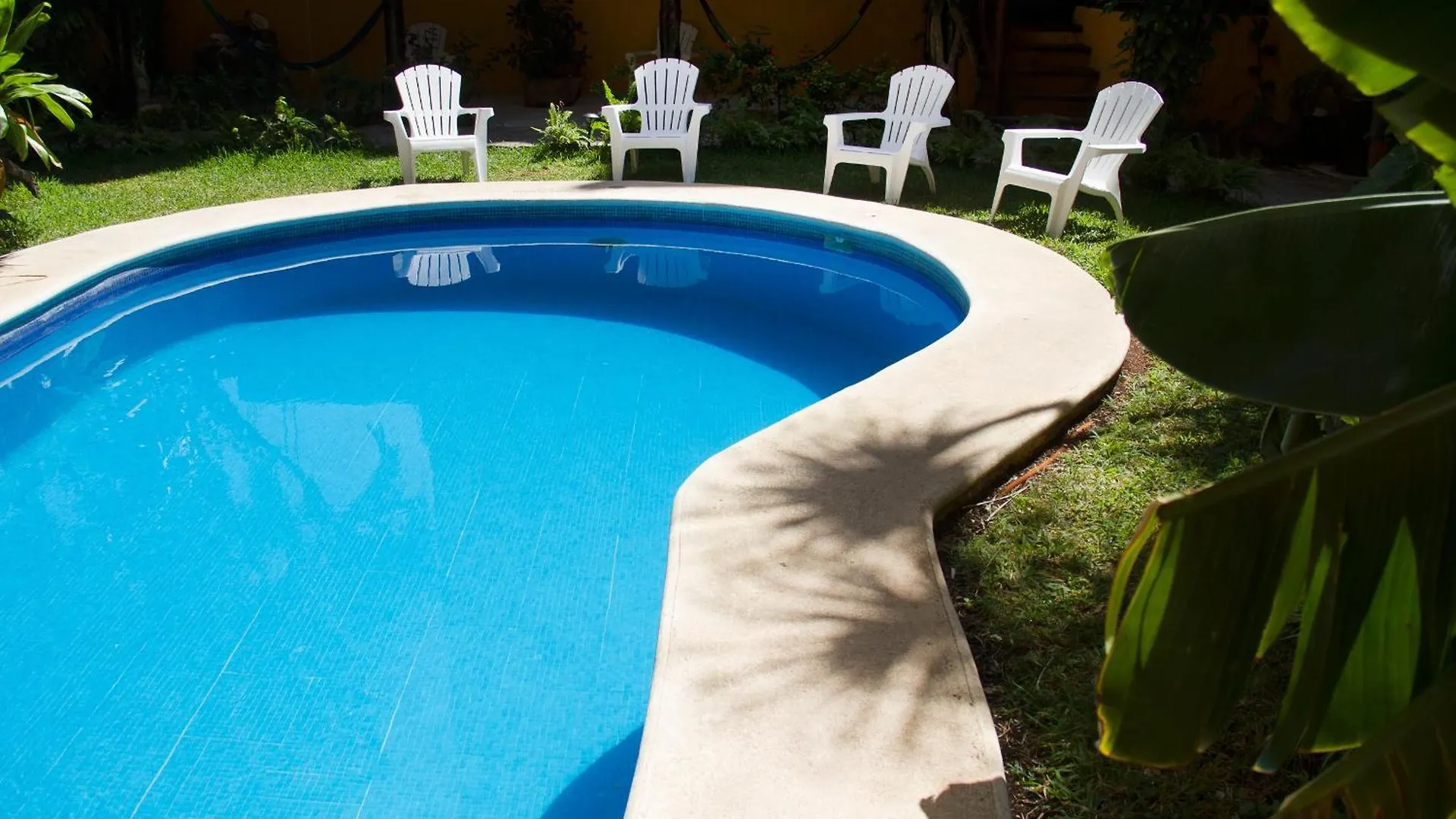 Hotel Bosque Caribe, 5Th Av. Zone Playa del Carmen
