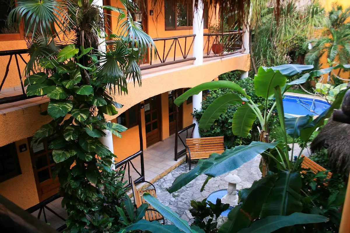 Hotel Bosque Caribe, 5Th Av. Zone Playa del Carmen